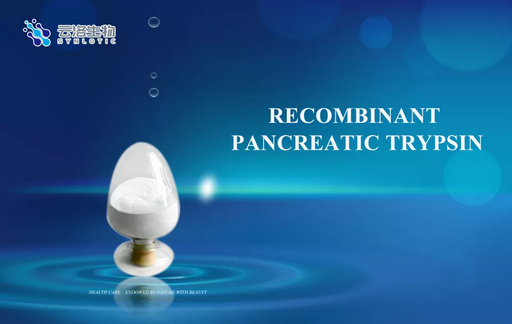 ສິ່ງທີ່ recombinant pancreatic trypsin ແລະຫນ້າທີ່ຂອງມັນແມ່ນຫຍັງ?