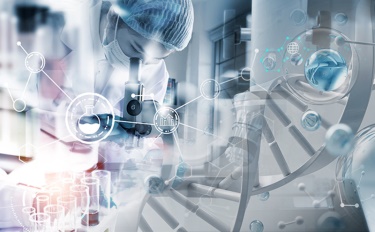 ທາງເລືອກທີ່ຢູ່ເບື້ອງຫຼັງຄວາມງາມ: ການເຊື່ອມຕໍ່ເລິກລະຫວ່າງເຄື່ອງສໍາອາງແລະຊີວິດແບບຍືນຍົງ