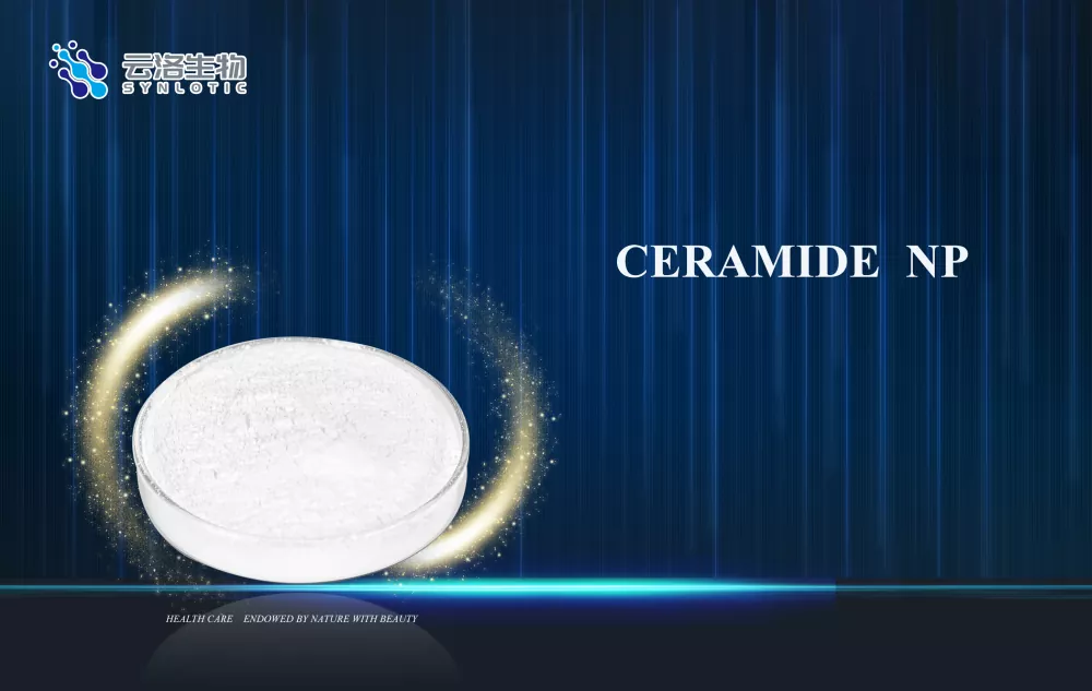Ceramide NP ສະຫນັບສະຫນູນການດູແລຜິວຫນັງໃນເຄື່ອງສໍາອາງທີ່ທັນສະໄຫມແນວໃດ?