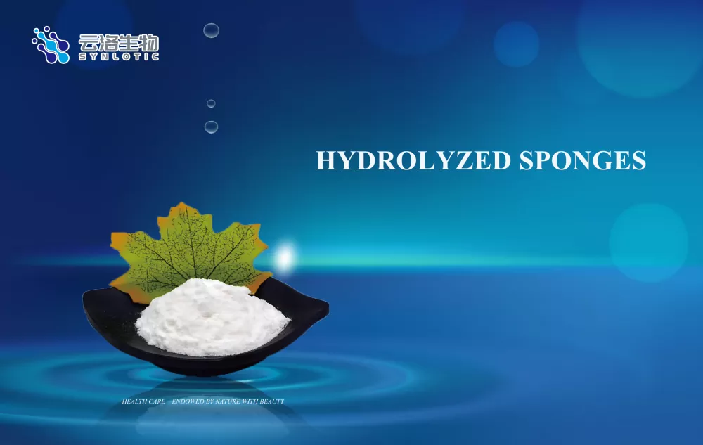 sponges hydrolyzed